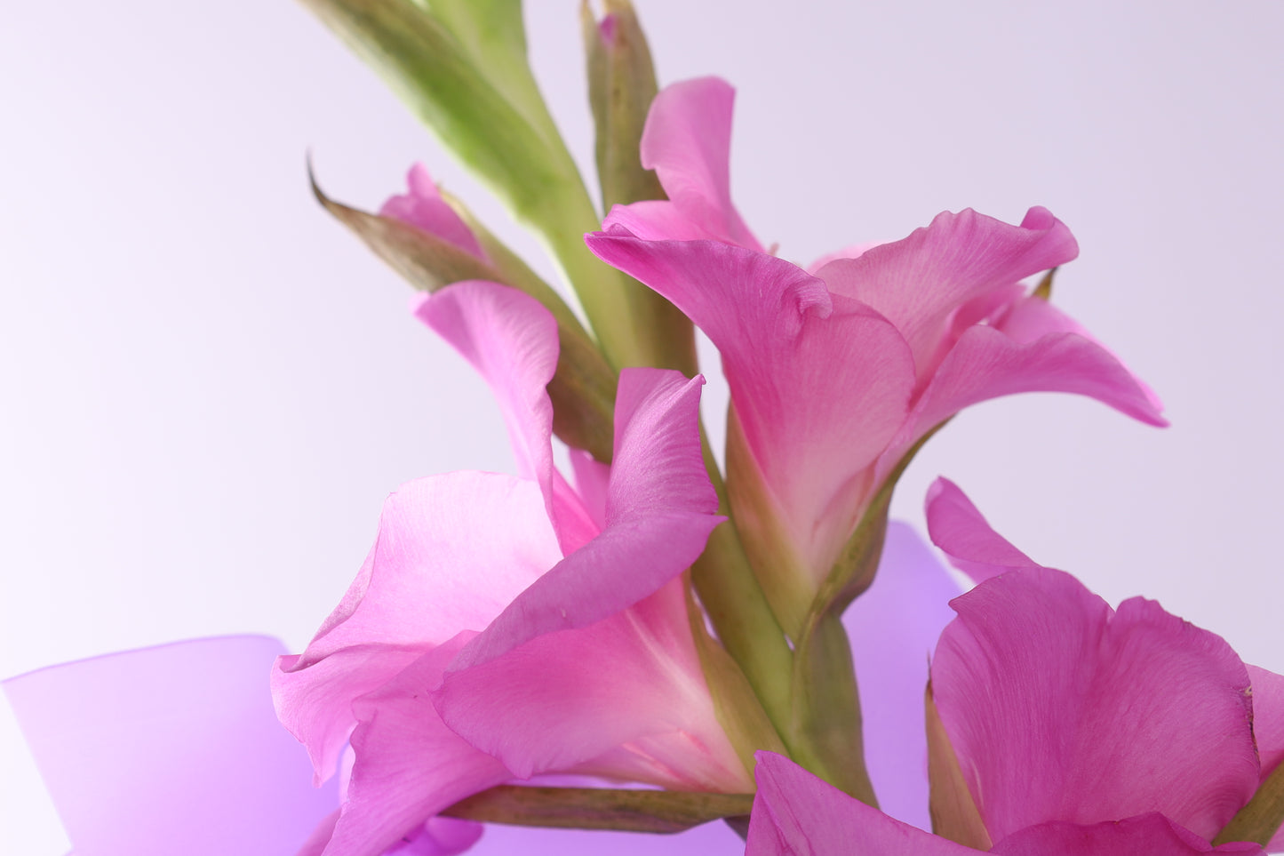 Brise Rose Bouquet