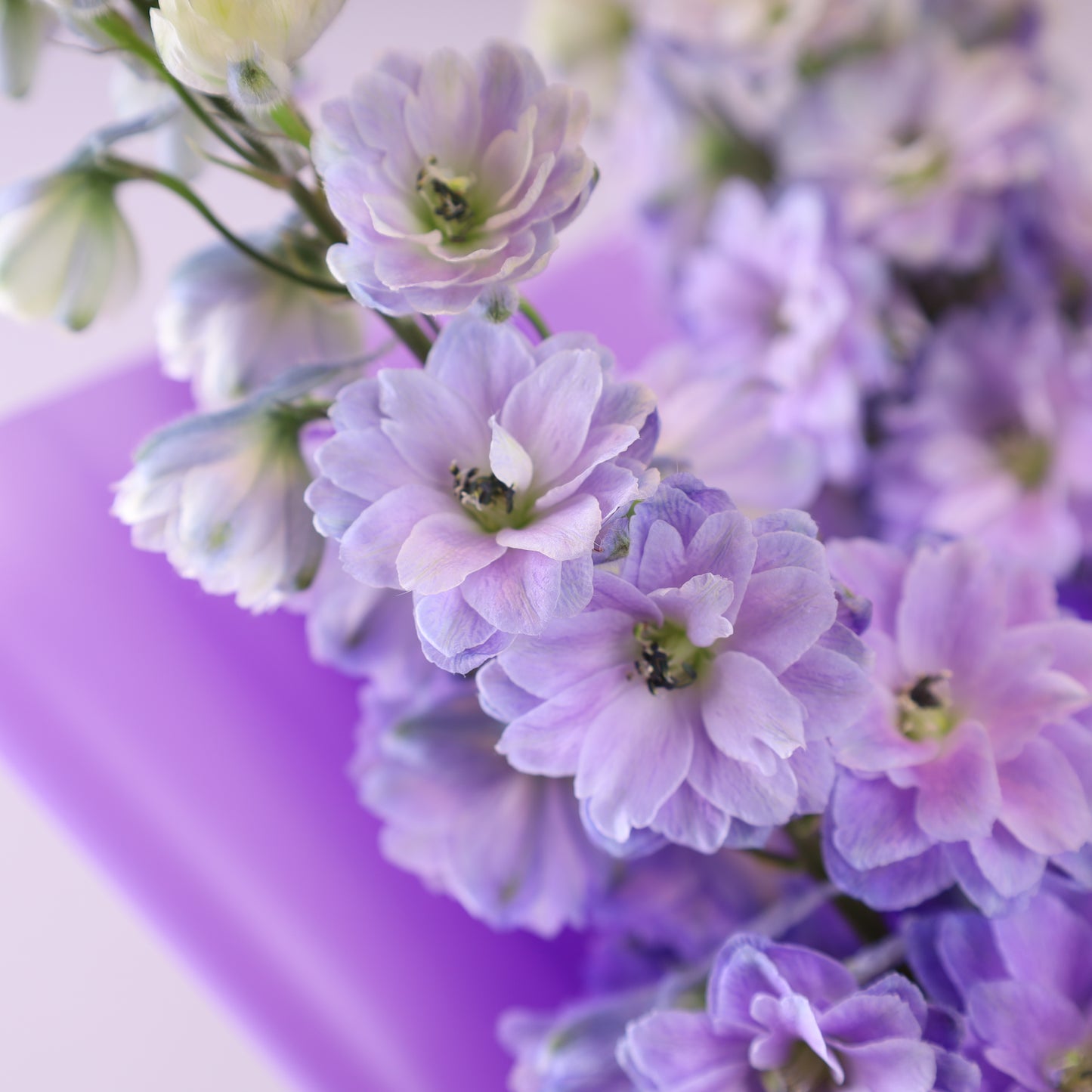 Vivid Bloom Bouquet