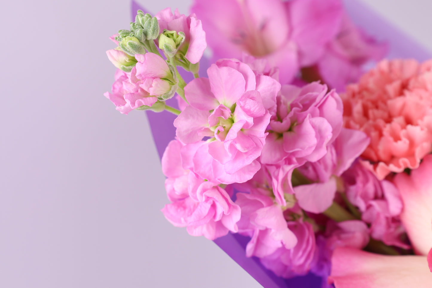 Rose Lumière Bouquet