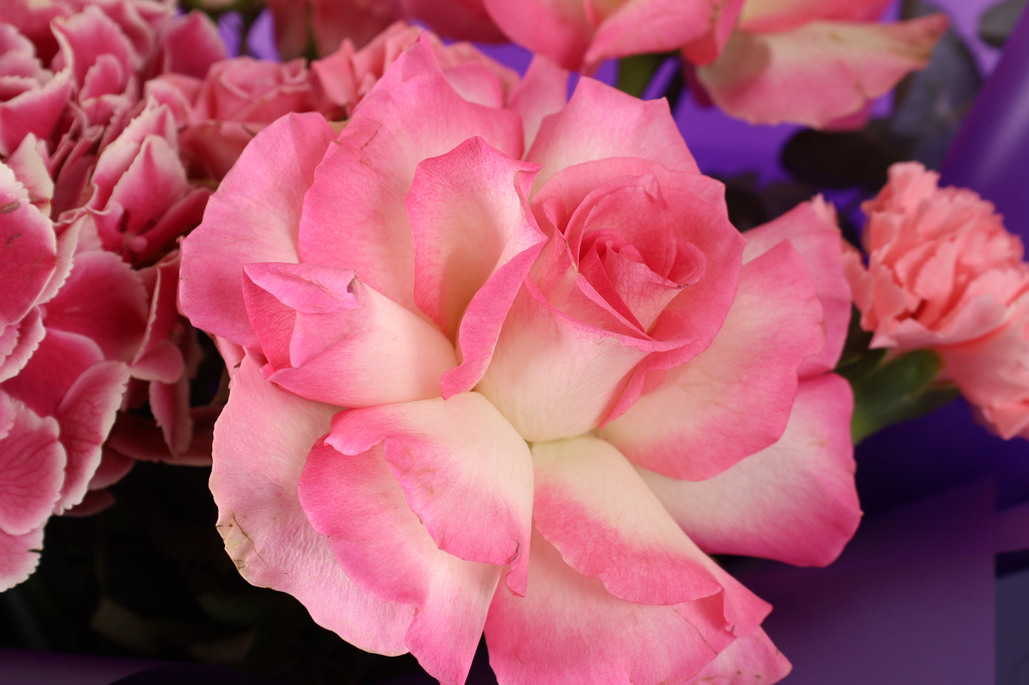 Rose Lumière Bouquet