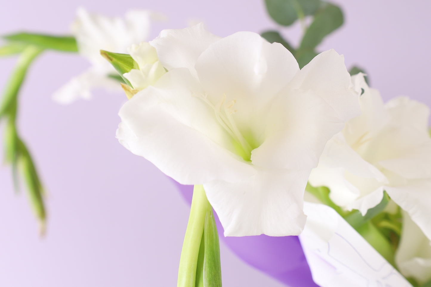 Blanc Éclat Bouquet