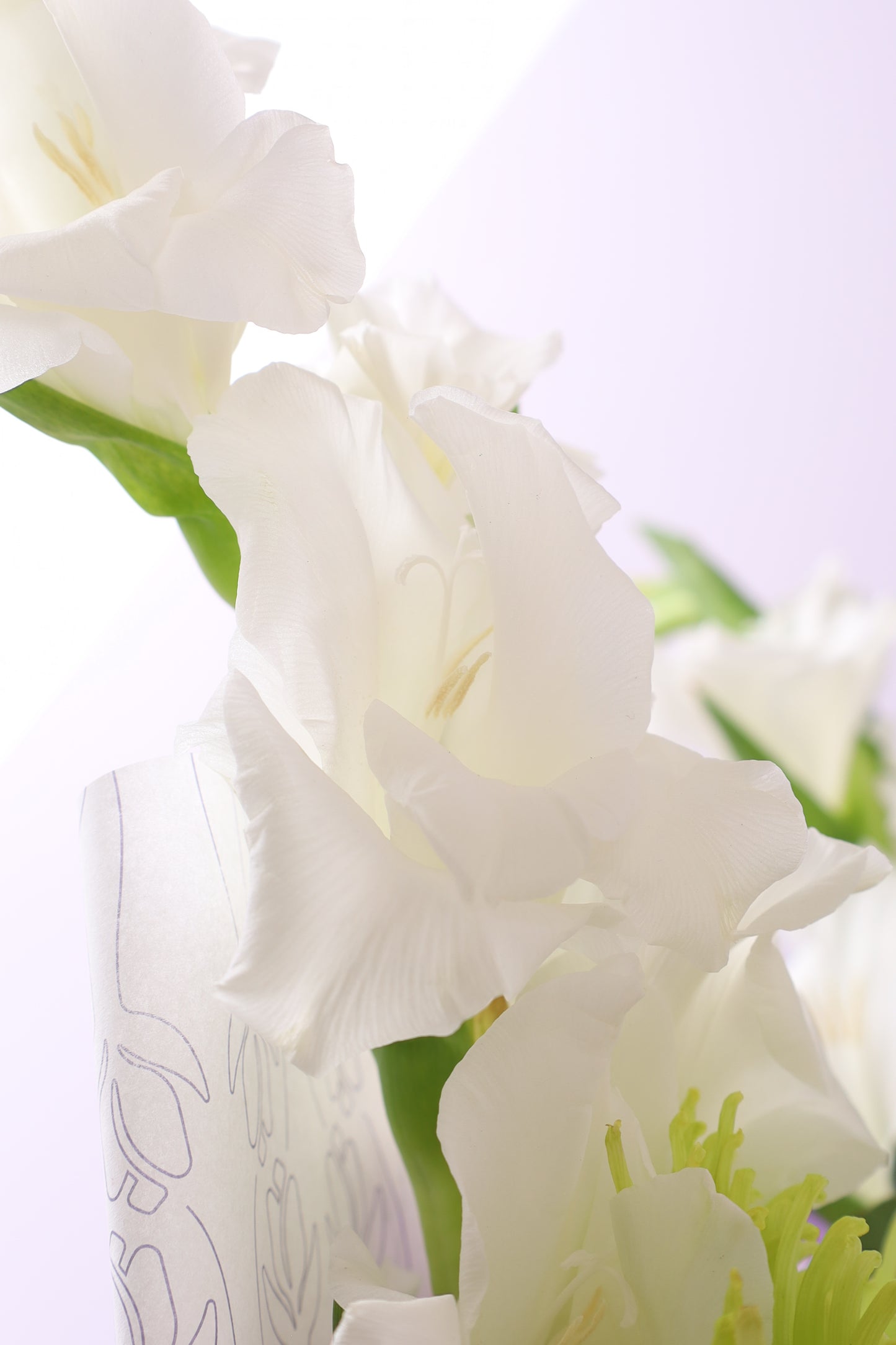 Blanc Éclat Bouquet