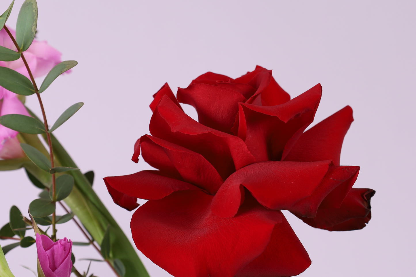 Rouge Velours