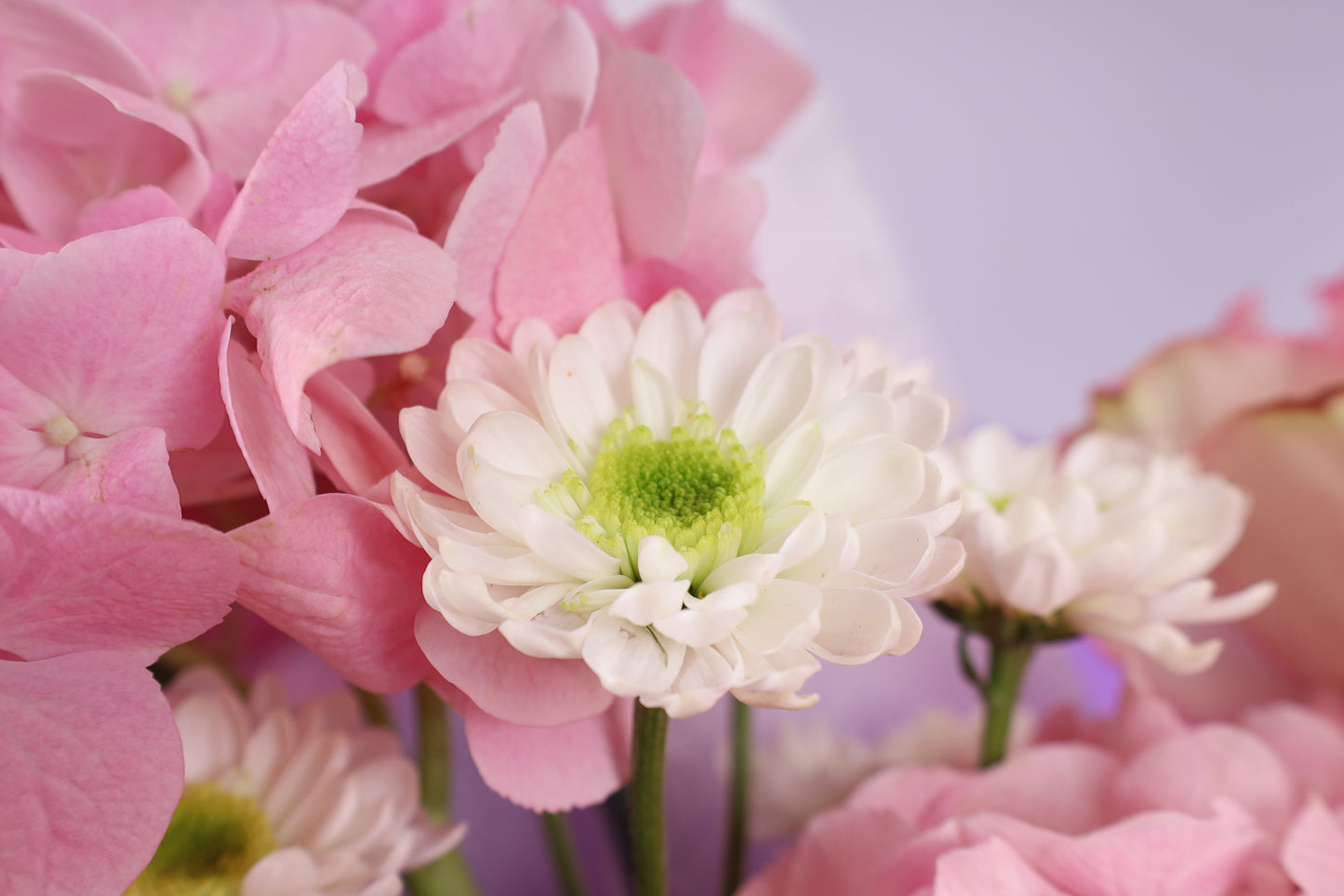 Soft Blush Bouquet