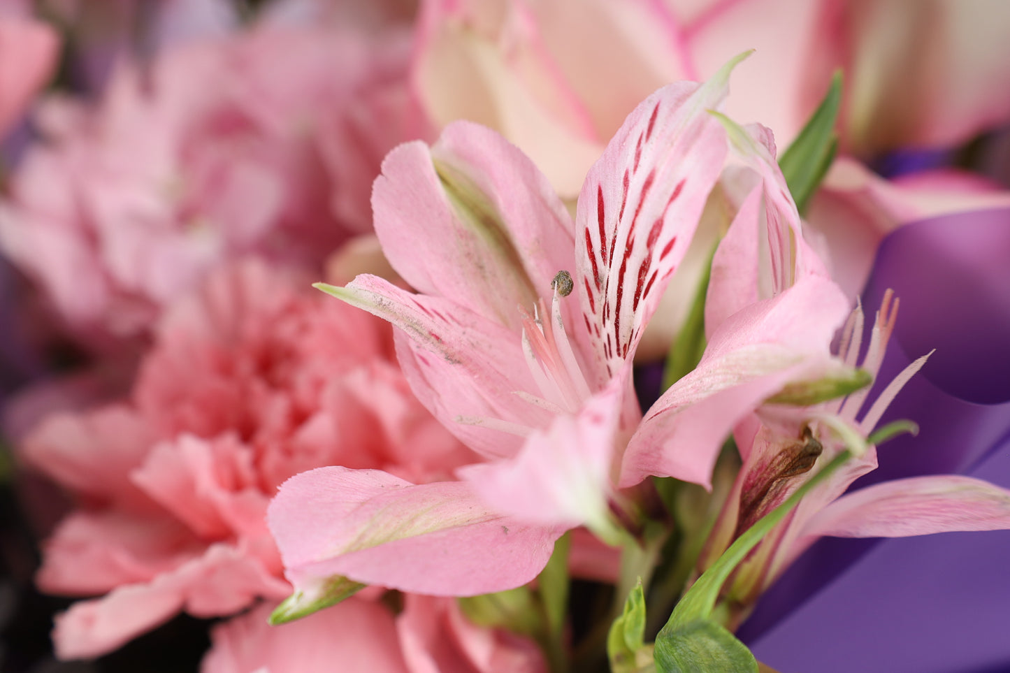 Soft Blush Bouquet