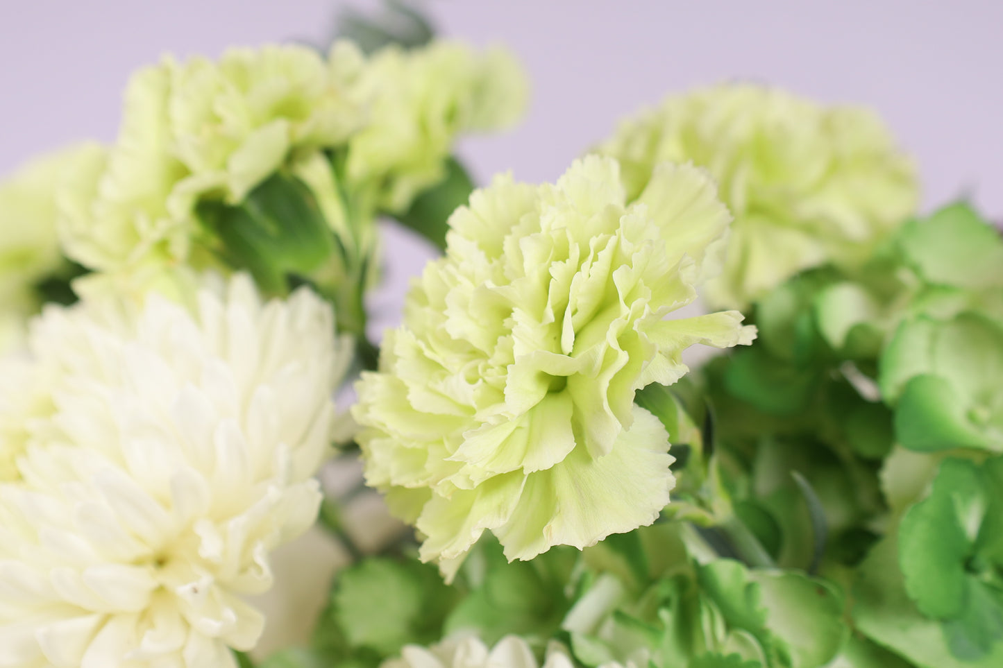 Écarlate Bouquet