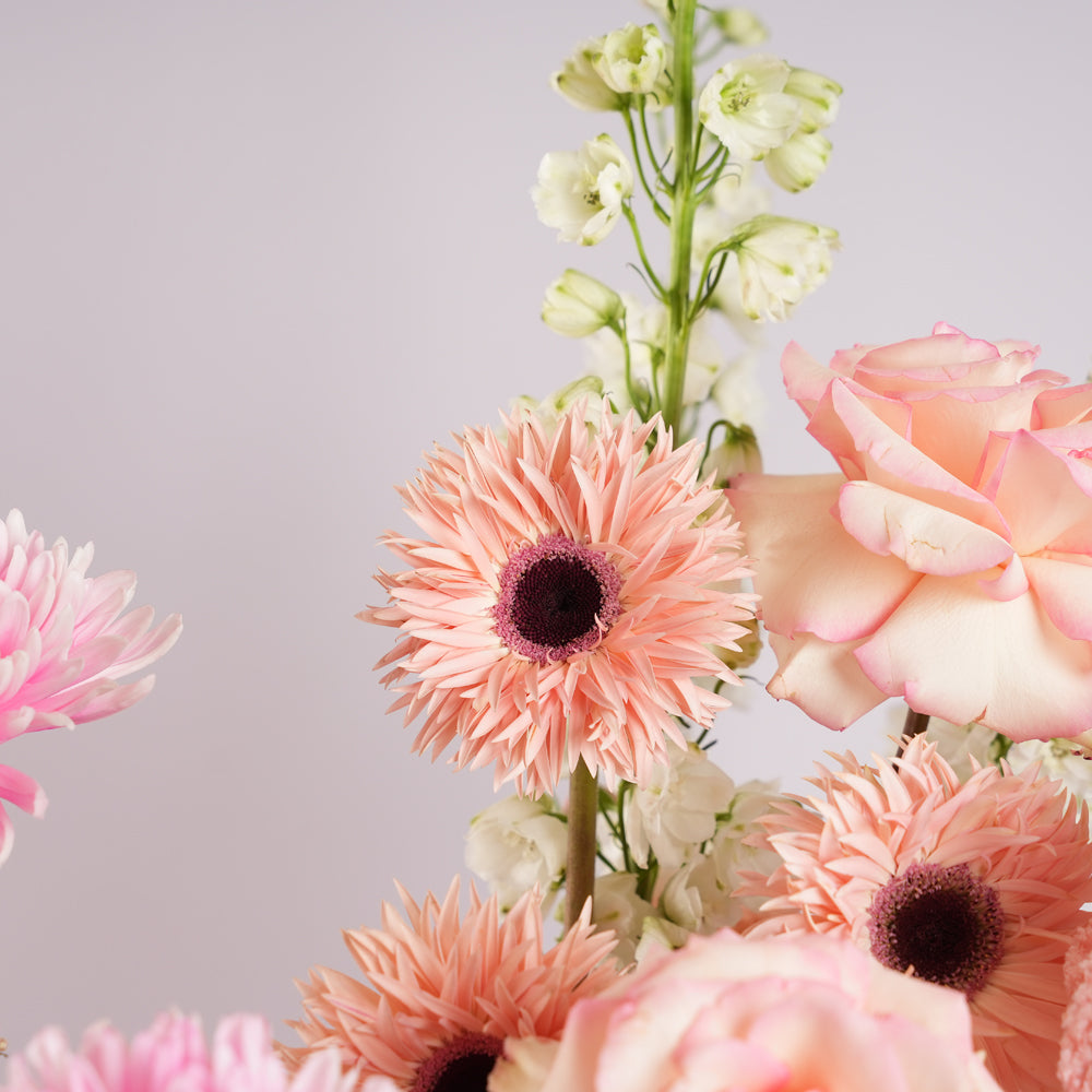 Soft Petal