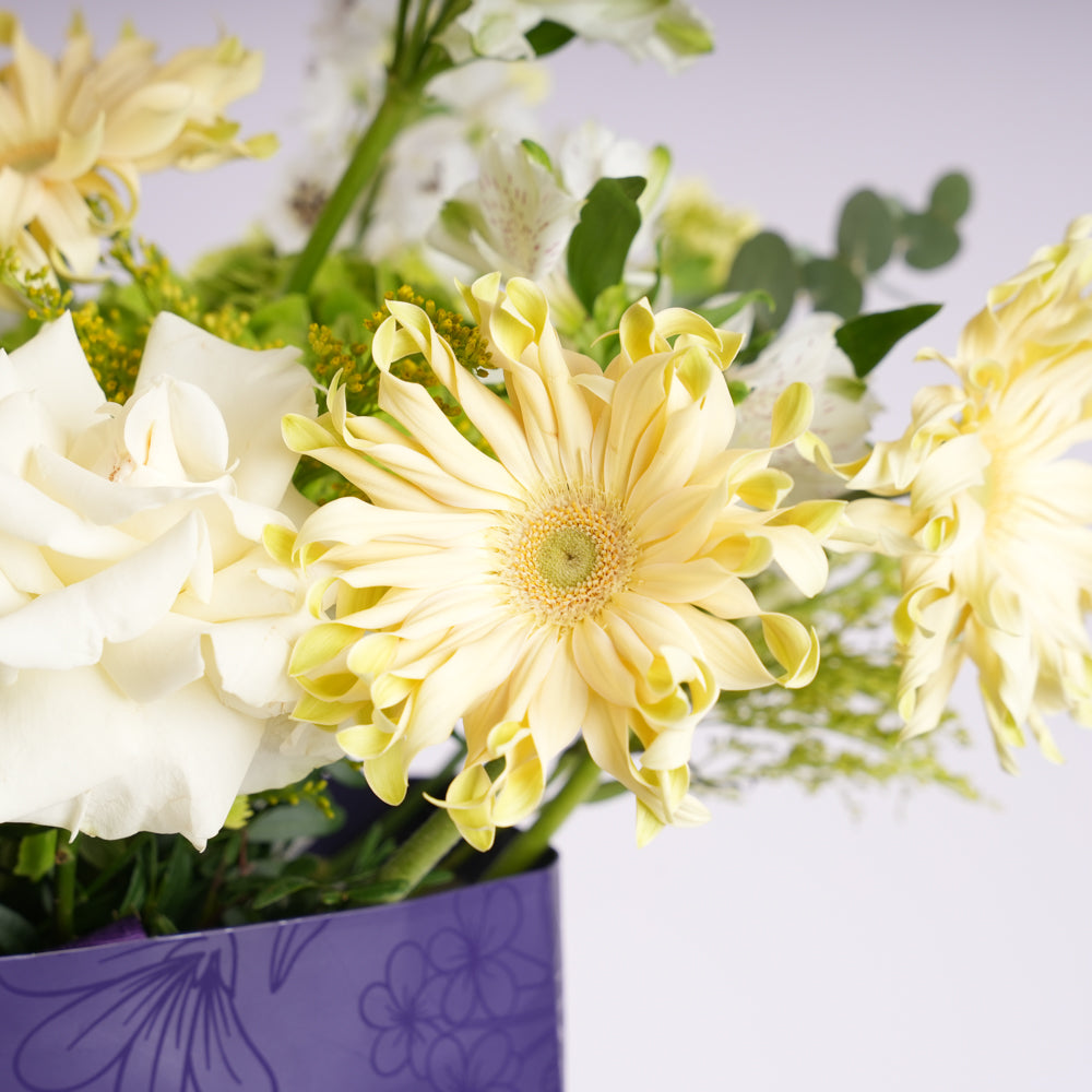 Le Cadeau Box